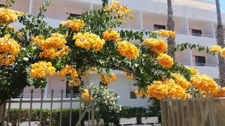 Kardamena Holiday Apartments Extérieur photo