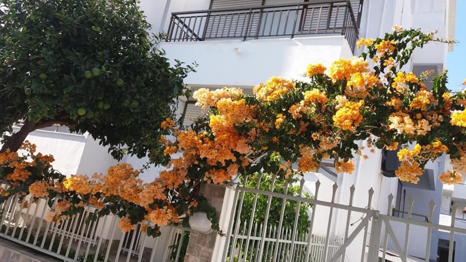 Kardamena Holiday Apartments Extérieur photo
